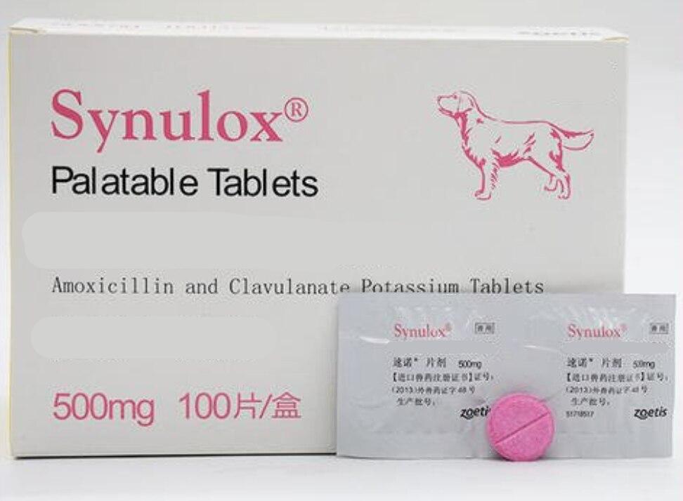 Pet Health Supplement 50mg 250mg 500mg Tablets For Dog Cat Wellness And Vitality - 6