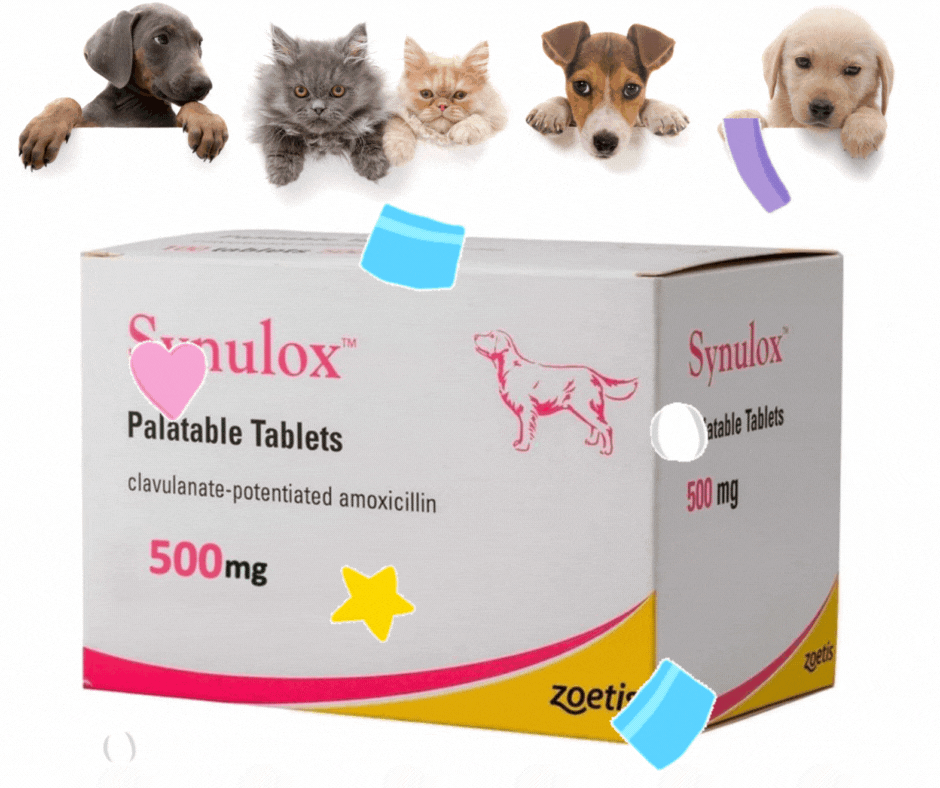 Pet Health Supplement 50mg 250mg 500mg Tablets For Dog Cat Wellness And Vitality - 1