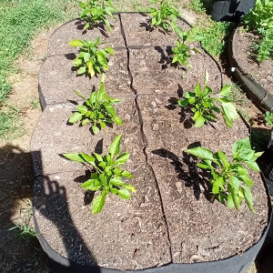 Non-Woven Fabric Plant Beds