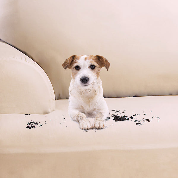 Spill and Mess Resistant