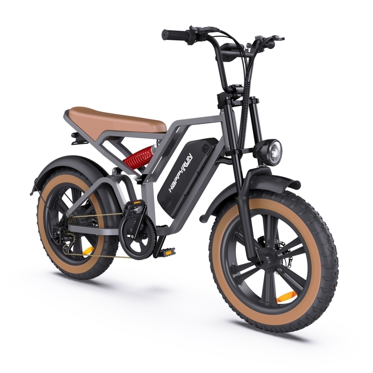 HAPPYRUN G60 750W 48V / 18AH Electric Bicycle with LED Display & 20 inch Tires, US Plug