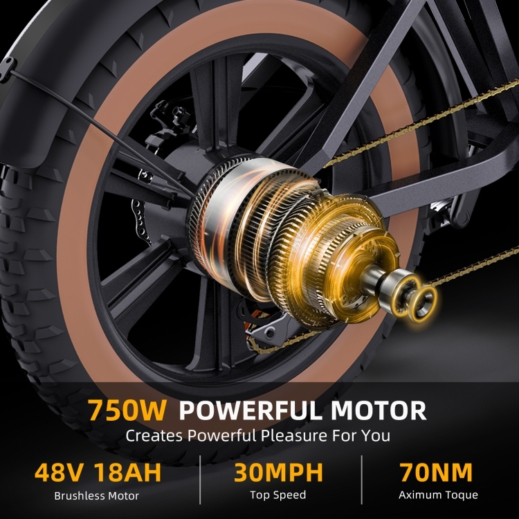 HAPPYRUN G60 750W 48V / 18AH Electric Bicycle with LED Display & 20 inch Tires, US Plug