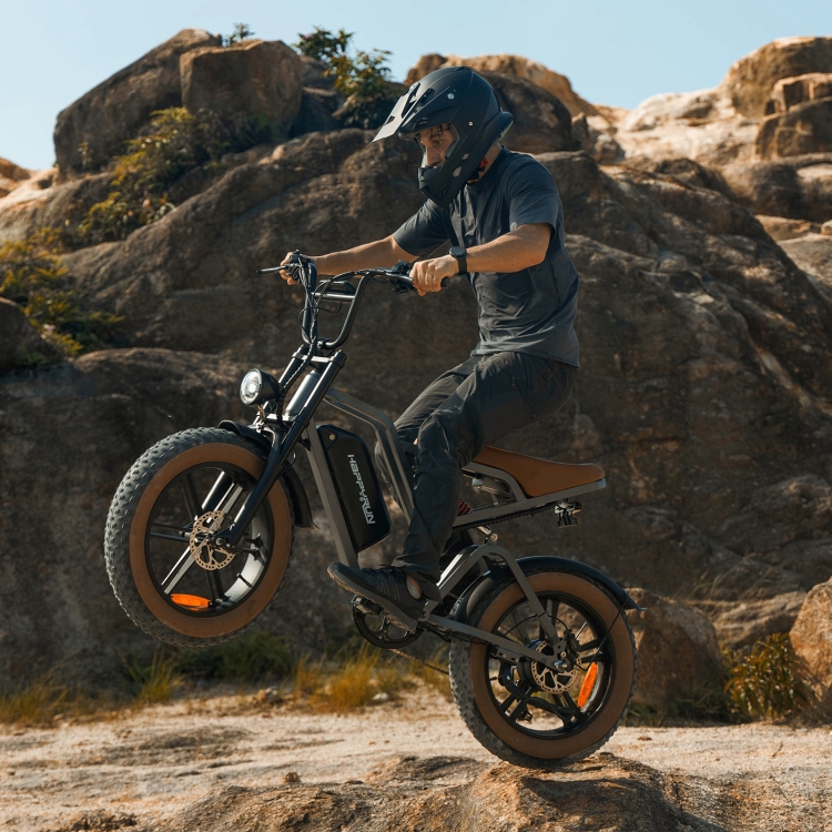 HAPPYRUN G60 750W 48V / 18AH Electric Bicycle with LED Display & 20 inch Tires, US Plug