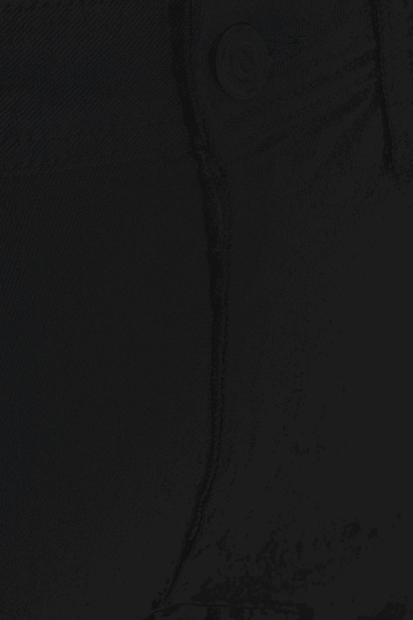 The Original Performance Jeans (Regular) - Black Denim