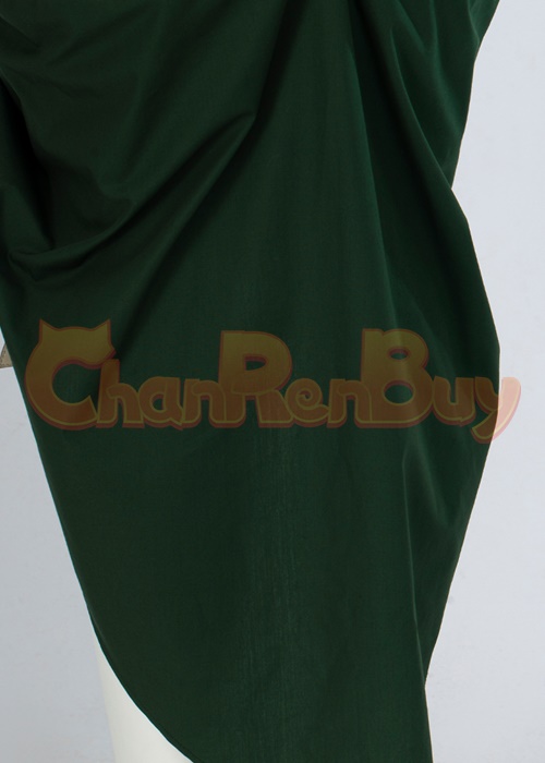 Princess Zelda Costume Cosplay Suit The Legend of Zelda Tears of the Kingdom Outfit