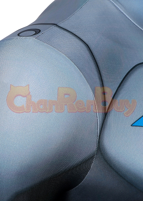 Nightwing Costume Bodysuit Cosplay Suit for Adult