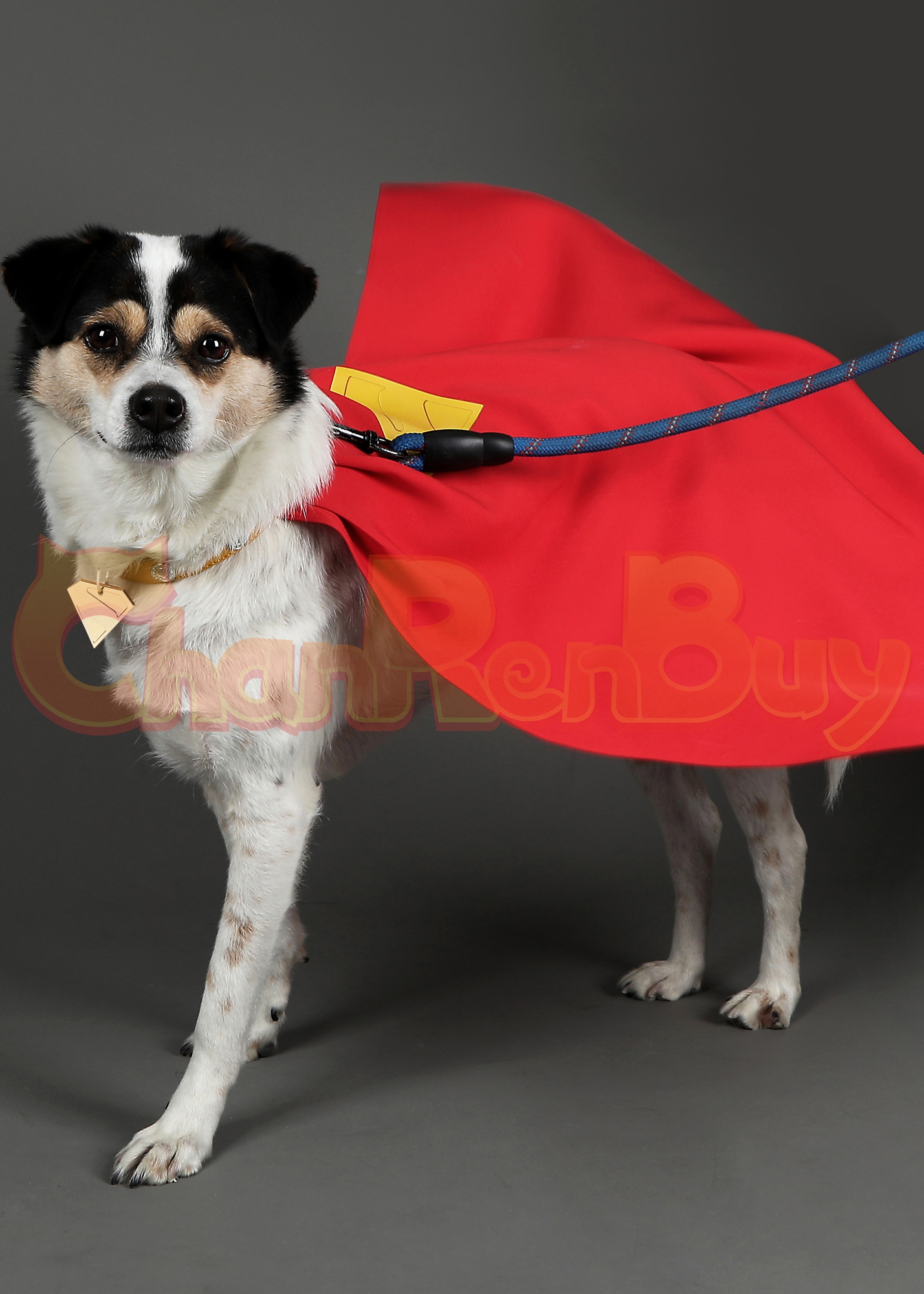 Superhero Costume Krypto the Super Dog Cloak Cosplay for Pet