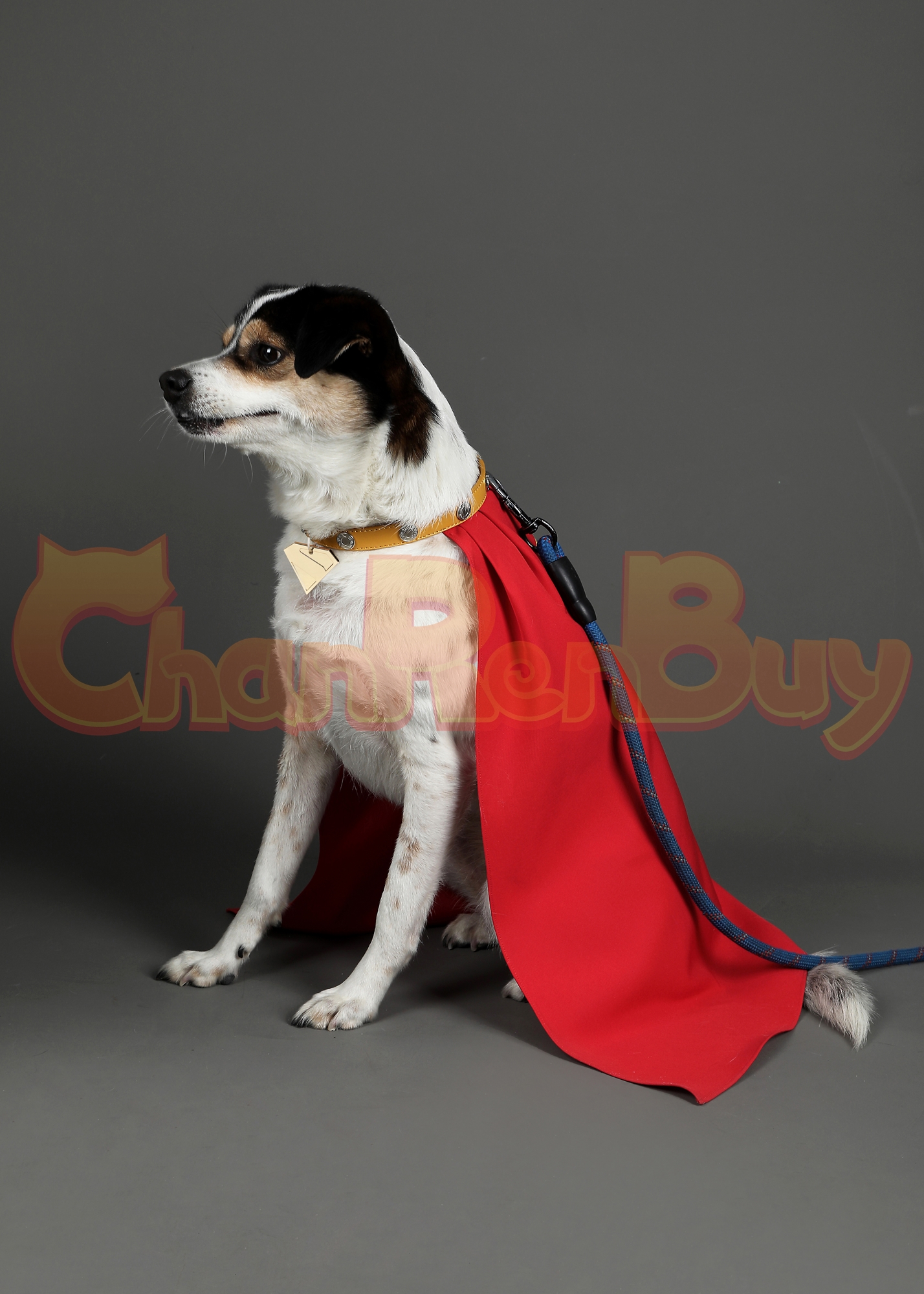 Superhero Costume Krypto the Super Dog Cloak Cosplay for Pet