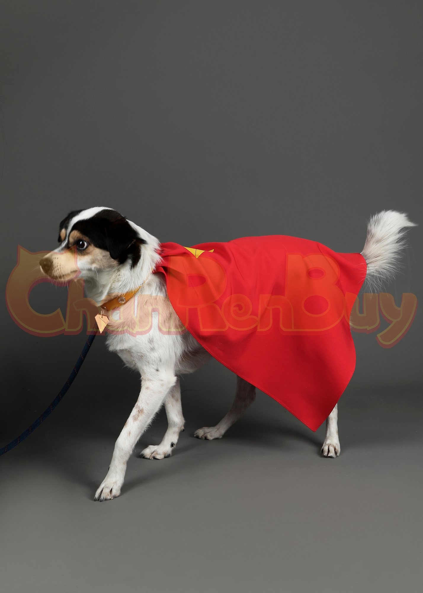 Superhero Costume Krypto the Super Dog Cloak Cosplay for Pet