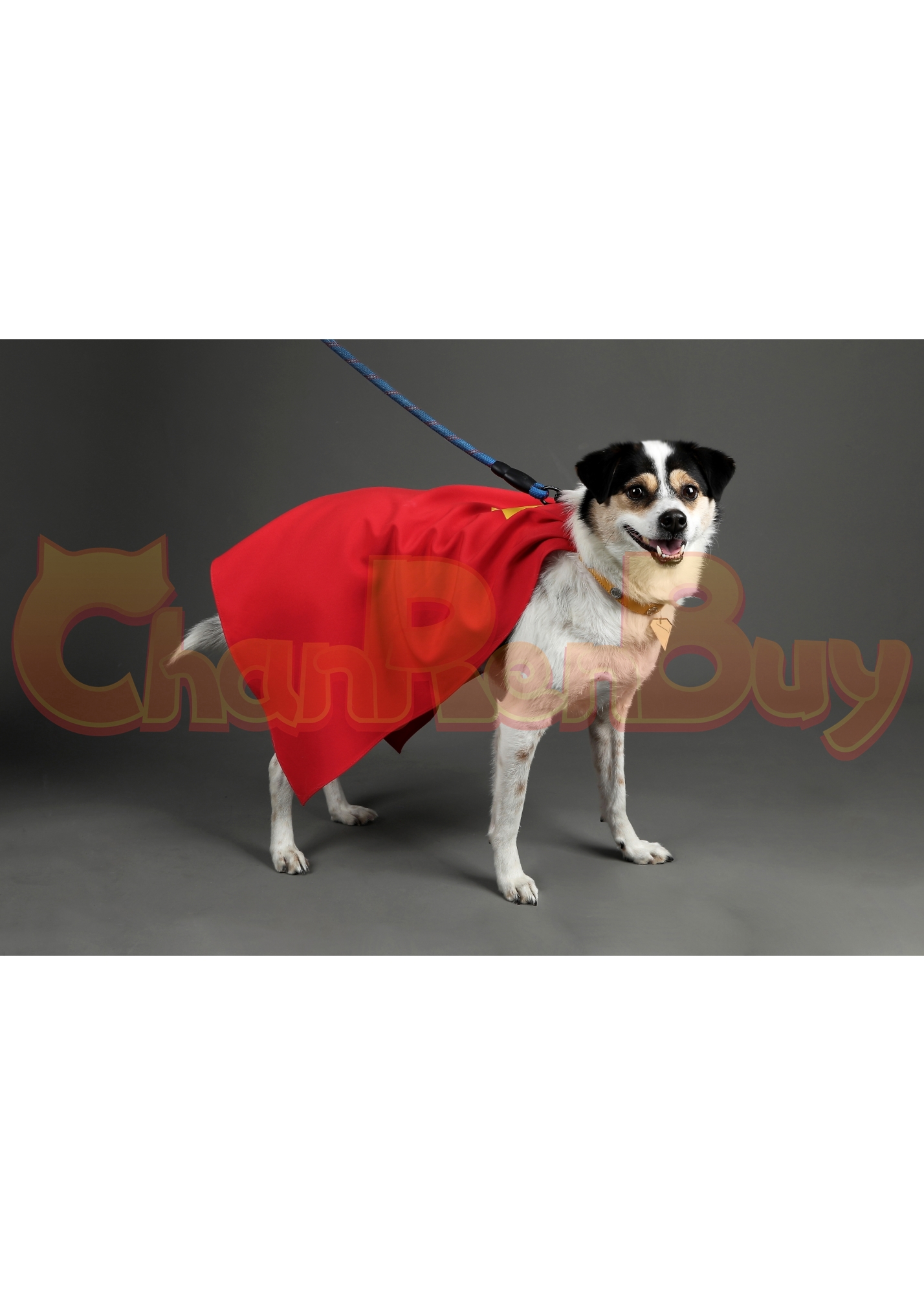 Superhero Costume Krypto the Super Dog Cloak Cosplay for Pet