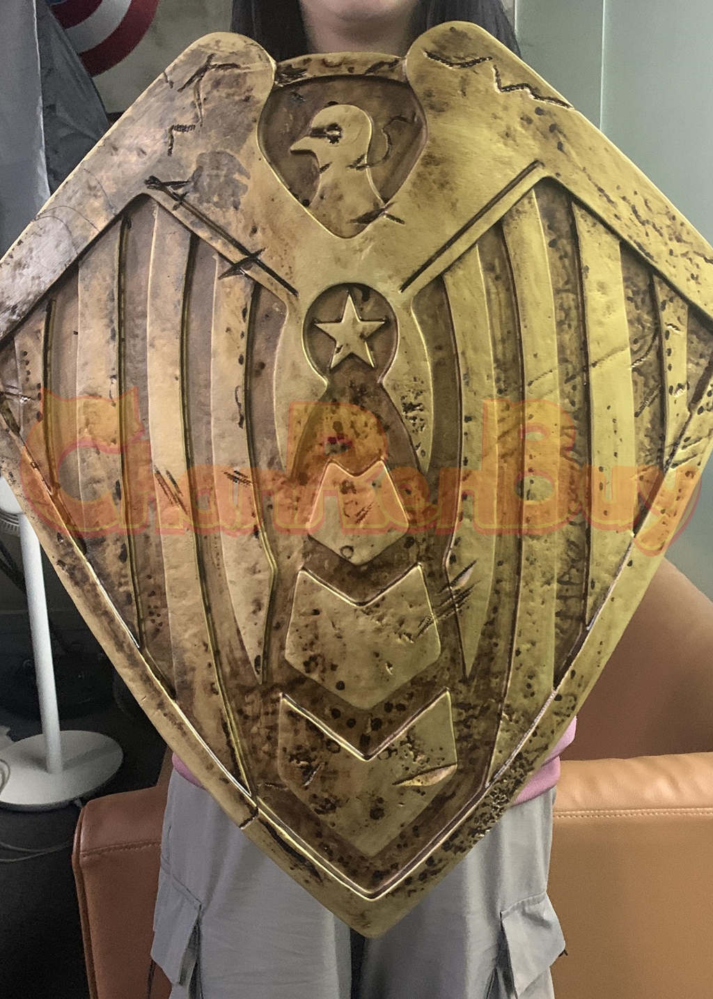The Boys Soldier Boy Shield Prop Cosplay