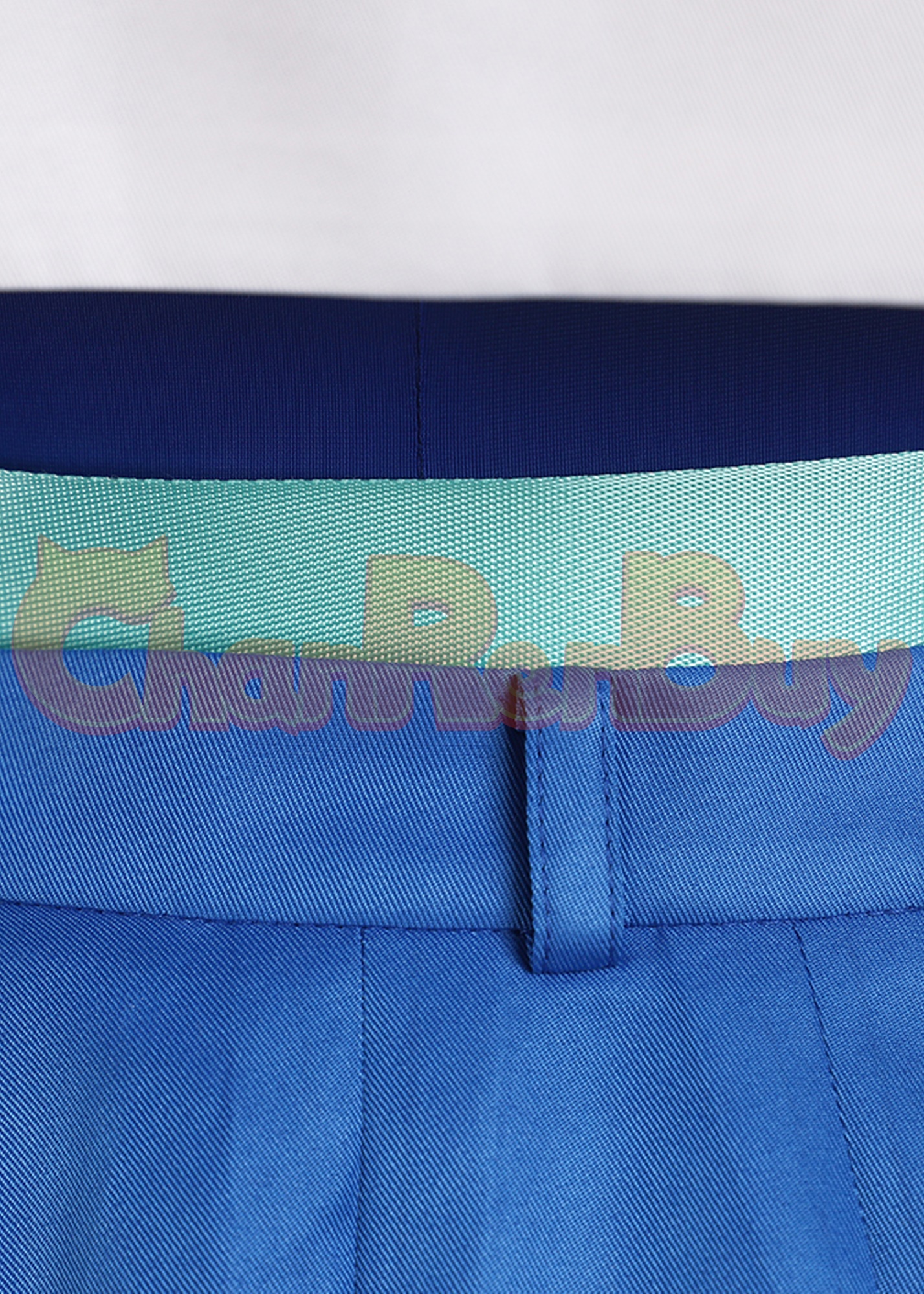 Camellya Costume Wuthering Waves Suit Cosplay