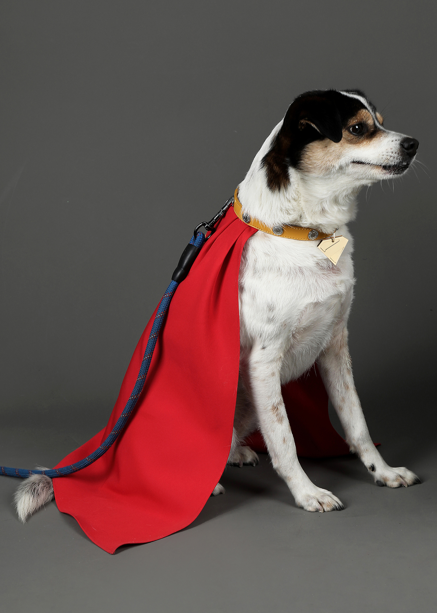 Superhero Costume Krypto the Super Dog Cloak Cosplay for Pet