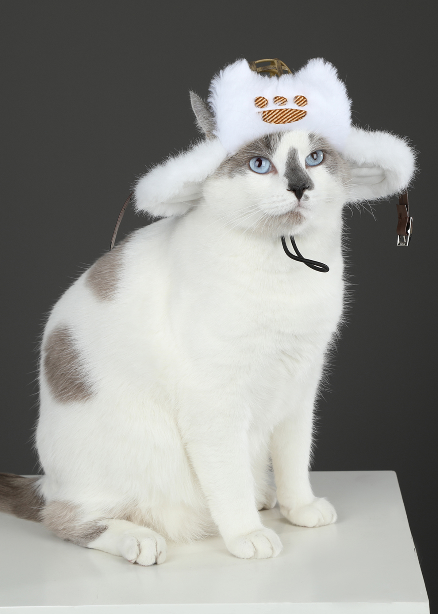 Felyne Costume Monster Hunter Wilds Palico Hat Cosplay for Cat
