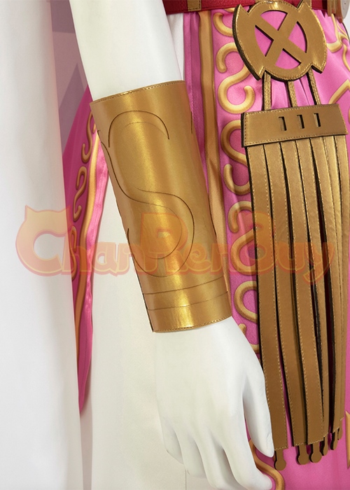 Princess Zelda Costume Cosplay The Legend of Zelda: A Link to the Past Outfit