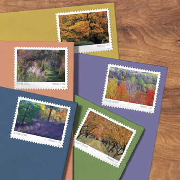 2024 Autumn Colors Stamps Forever First Class Postage Stamps