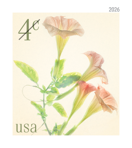 2026 Angel's Trumpets Stamps Forever First Class Postage Stamps
