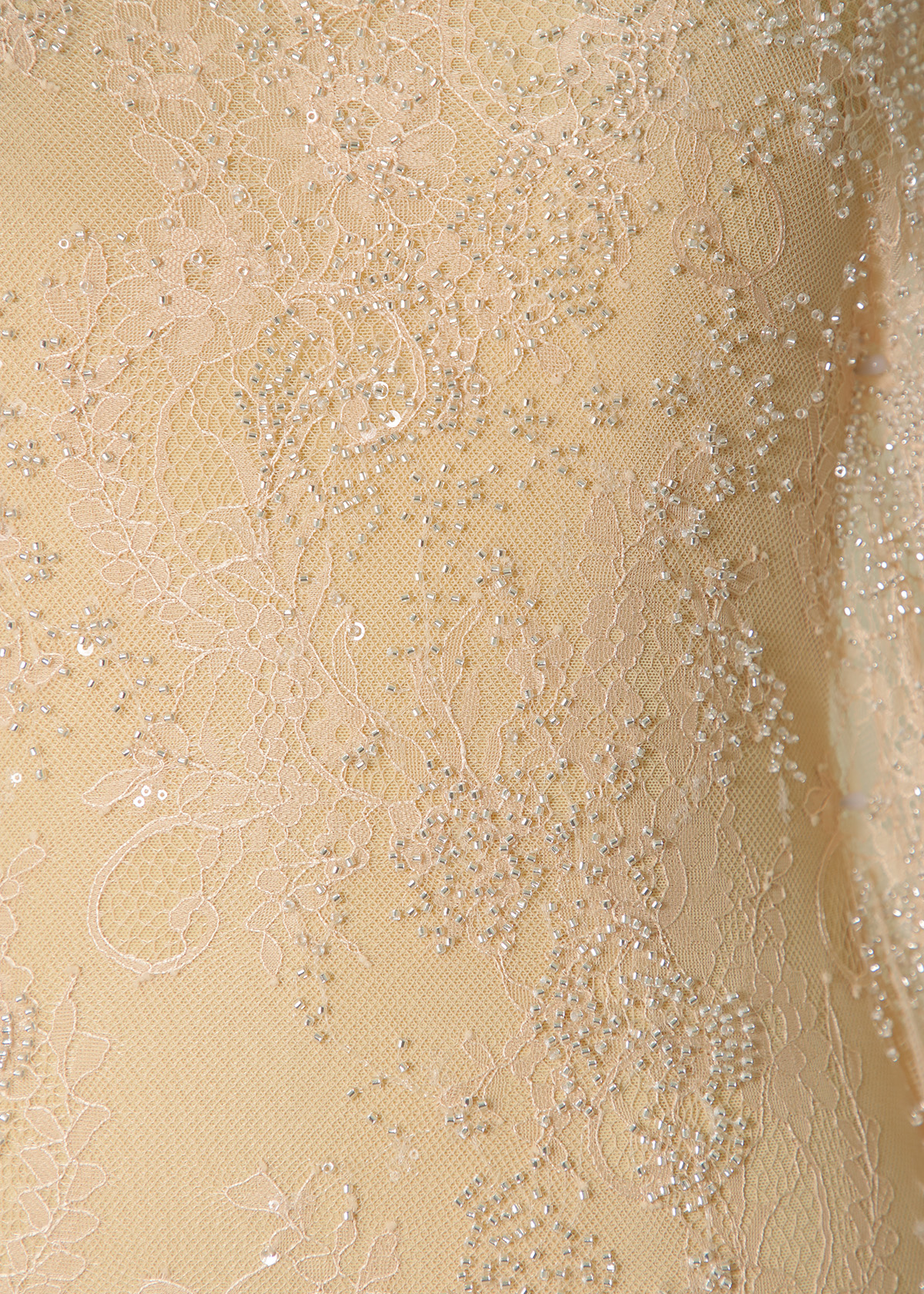 Yanzi Eyelash lace with bead embroidery fabric (YZZX892+L98031）