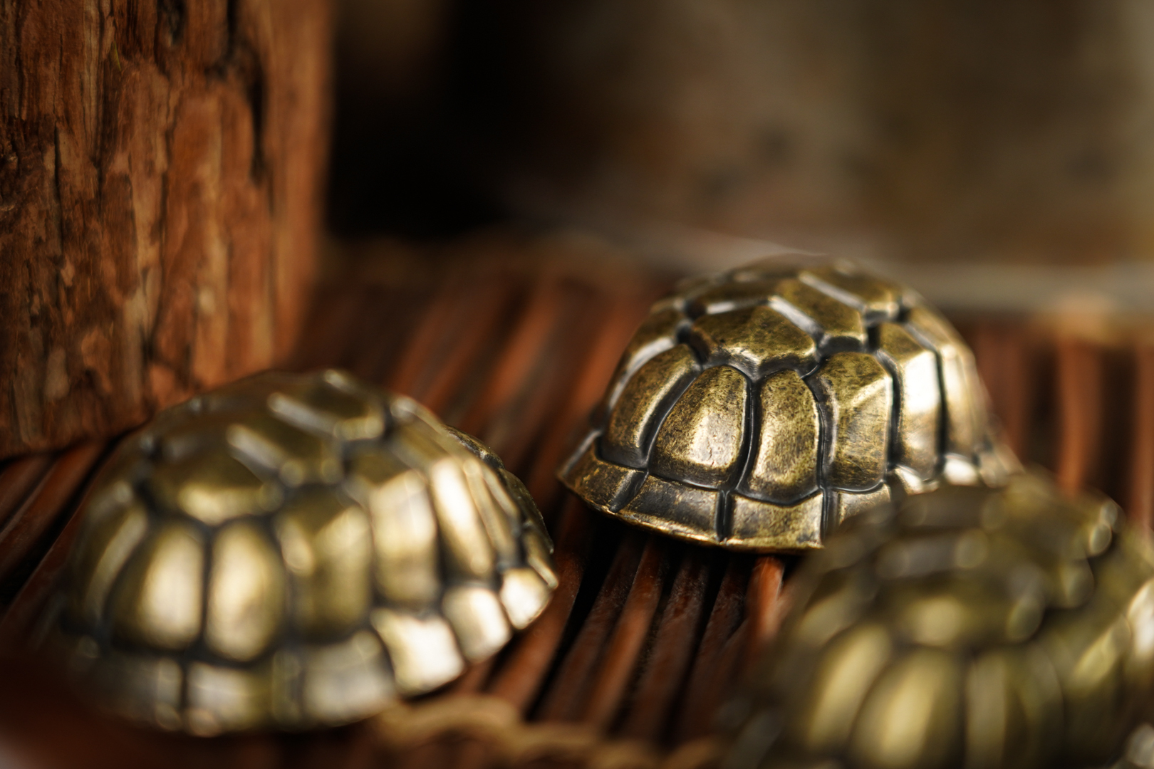  The “Shell” Game by Mai Bro & TCC Magic