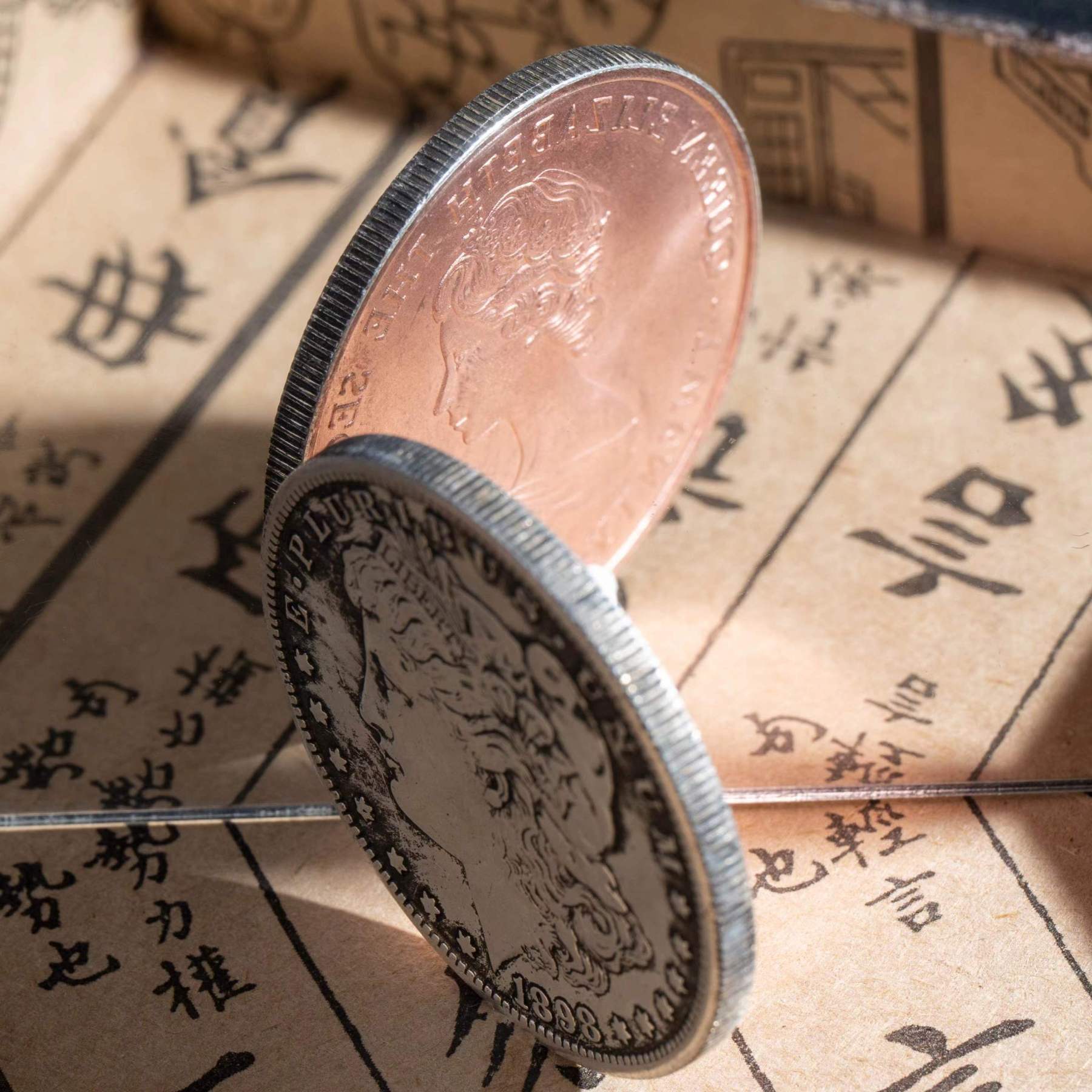 copper Morgan double face