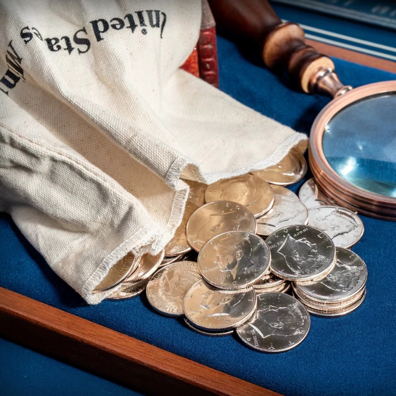 Half Dollars regular one set of 5 coins