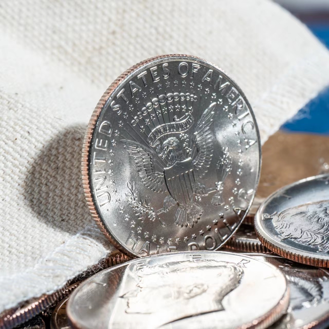 Half Dollars regular one set of 5 coins