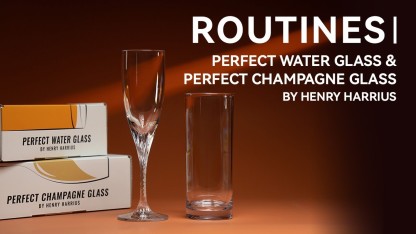 Perfect Champagne Glass & Perfect Water Glass by Henry Harrius