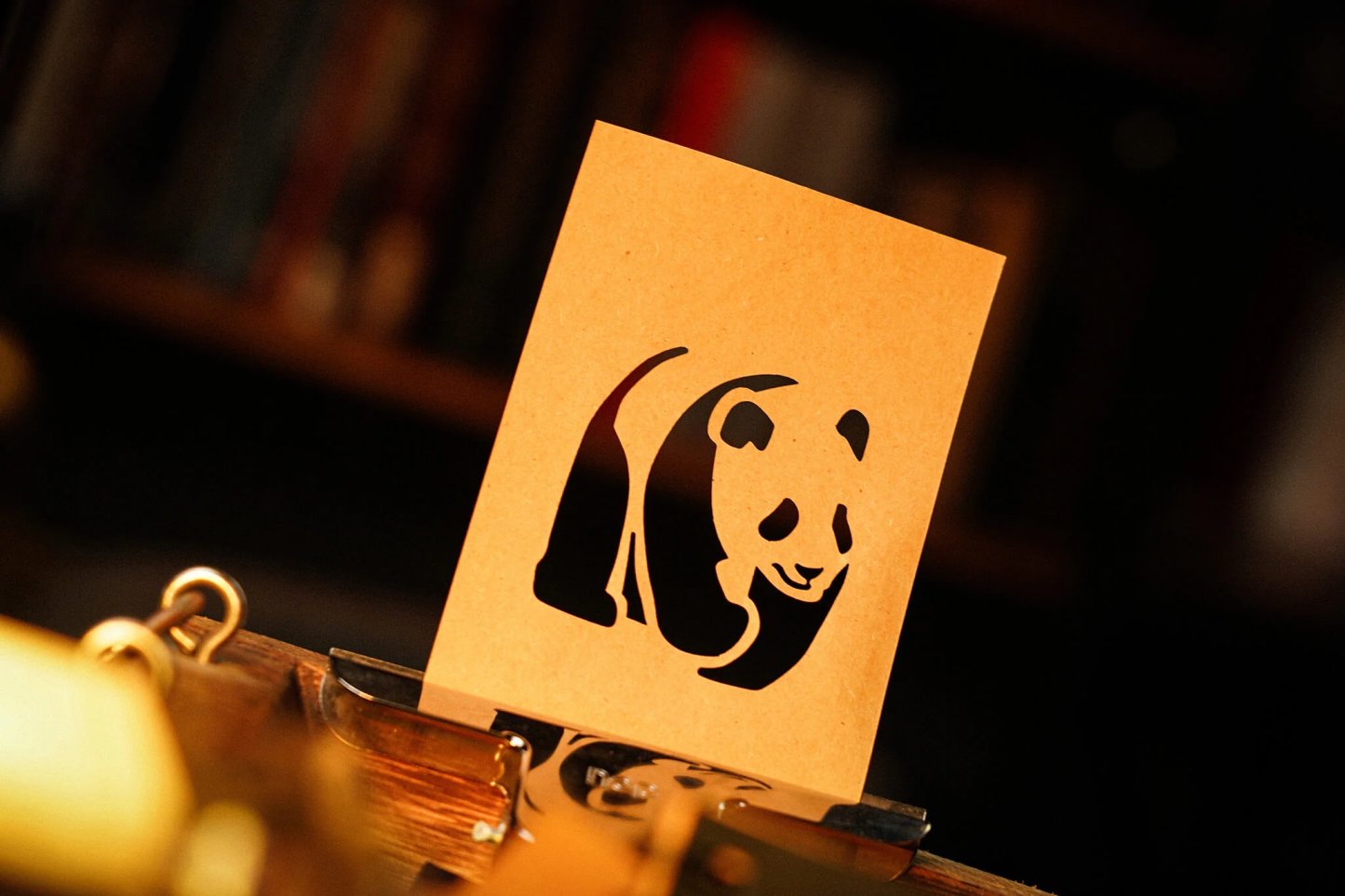 The Paper Cut by Elvis Zheng and TCC