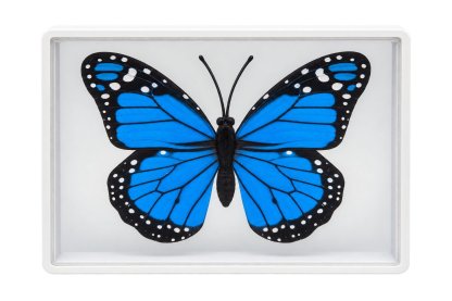Omni Butterfly by Hyde Ren