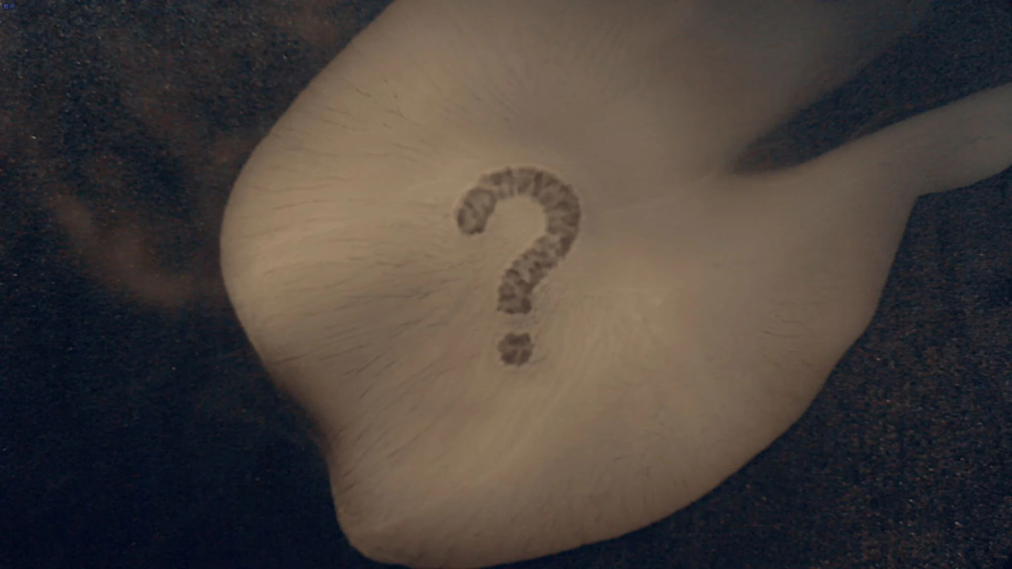 Arcane Pad by Myung Joon Lee & Hypothesis Magic