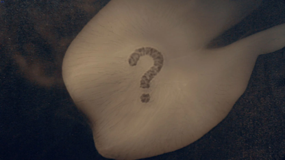 Arcane Pad by Myung Joon Lee & Hypothesis Magic