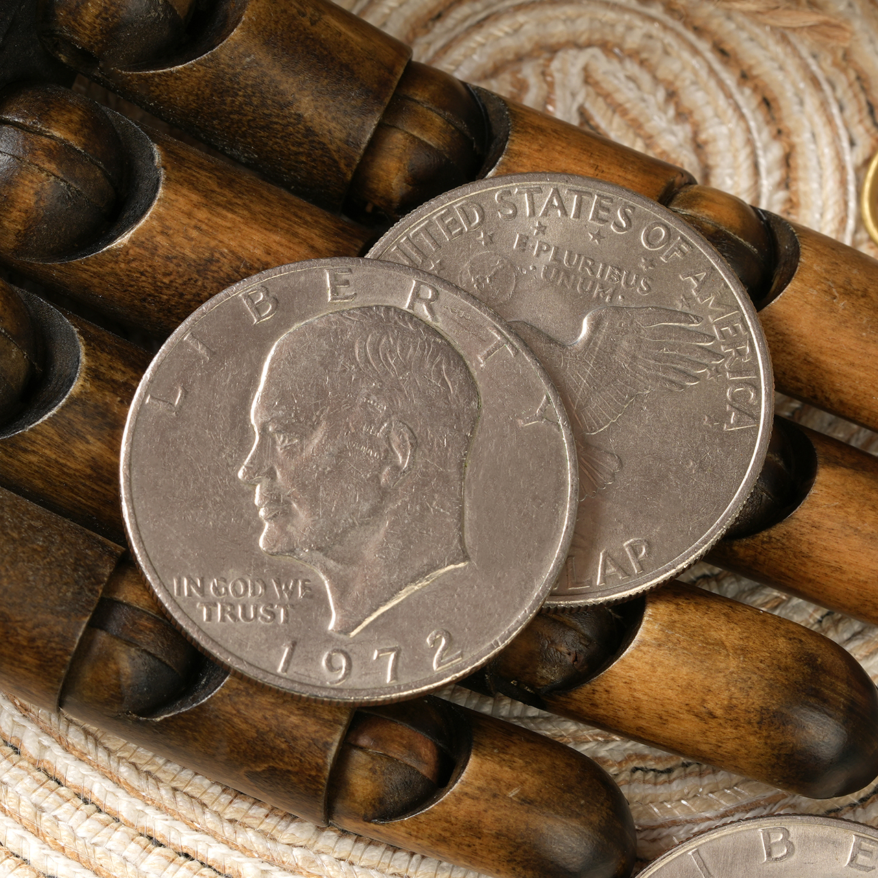 Eisenhower Dollar CS by N2G