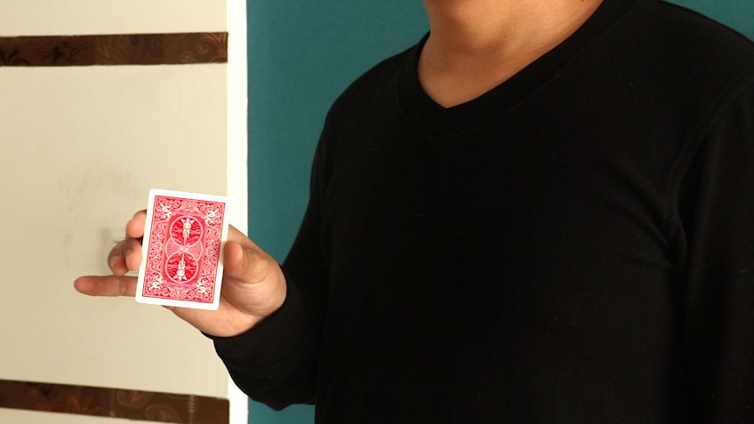 Quadruple Color Change by wangzhe