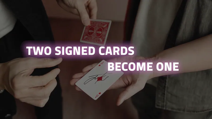 ANNIVERSARY 2.0: THE FINAL WALTZ