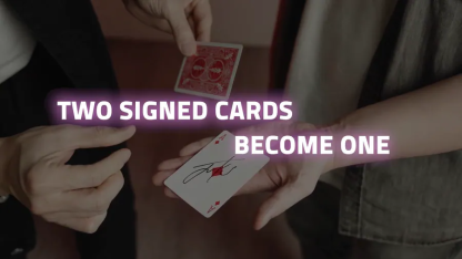 ANNIVERSARY 2.0: THE FINAL WALTZ