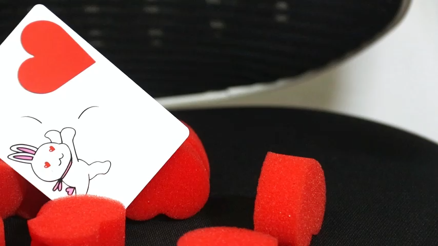 The Heartful Rabbit by WZ