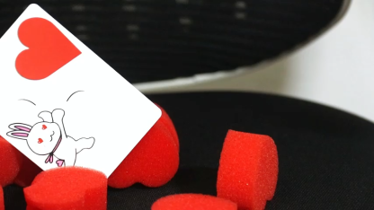 The Heartful Rabbit by WZ