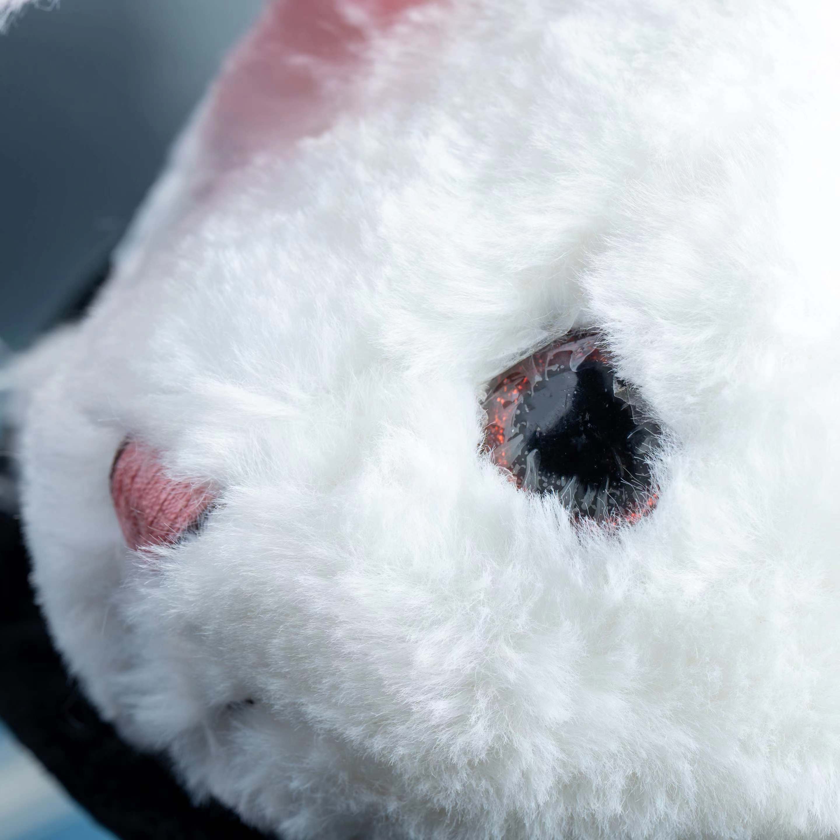 Magic Rabbit  by Alan Wong