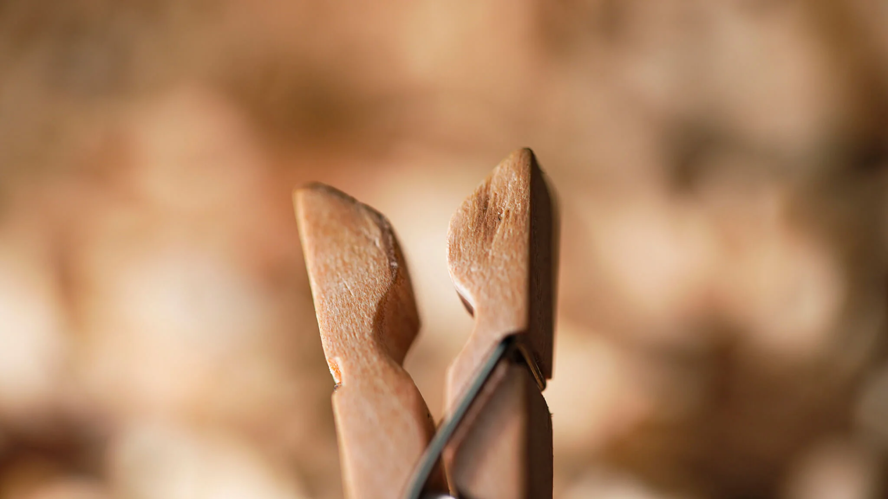 PIN by Flat Base & TCC Magic