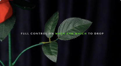 Re·birth by Alen L.