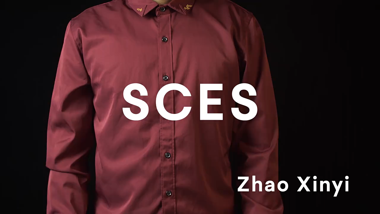 SCES by Zhao Xinyi
