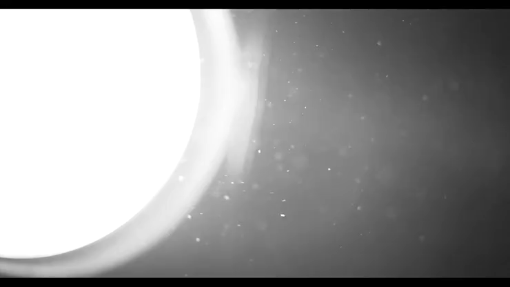 Invisible Devil by Lee Alex