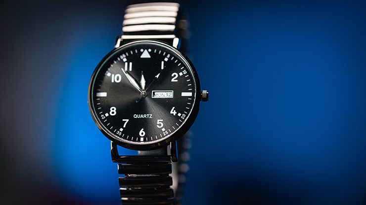 Ben Seidman's Ring Watch Wonder