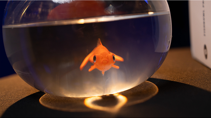 Fishbowl Production by Murphy's Magic