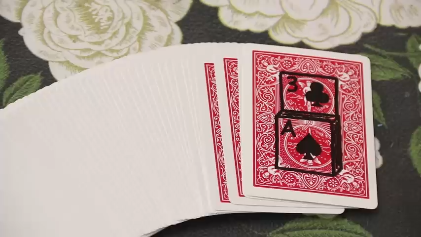 Mini Sketch Rise by WZ