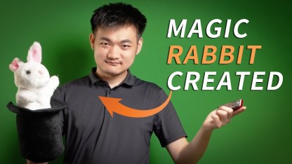 Magic Rabbit  by Alan Wong