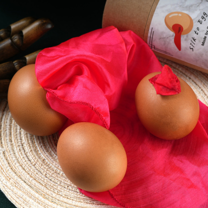 Silk to egg by Hyunsoo Kim & Hidden Magic