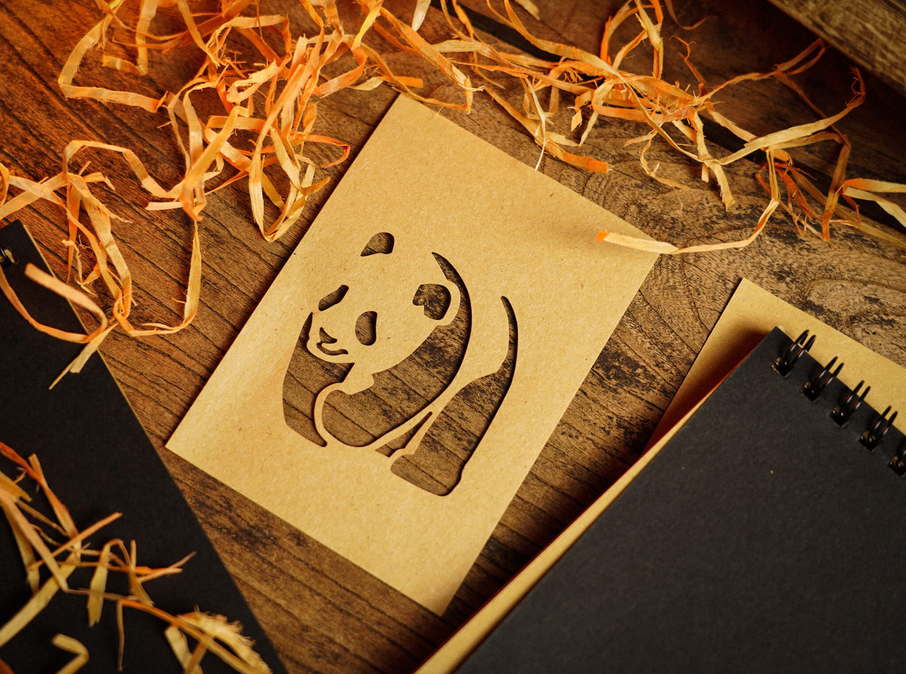 The Paper Cut by Elvis Zheng and TCC