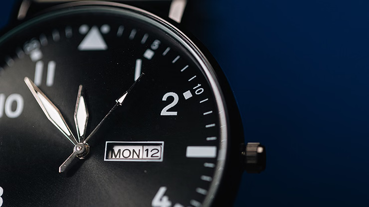 Ben Seidman's Ring Watch Wonder