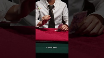 The Gifted Pen by Joshua Kaufmann